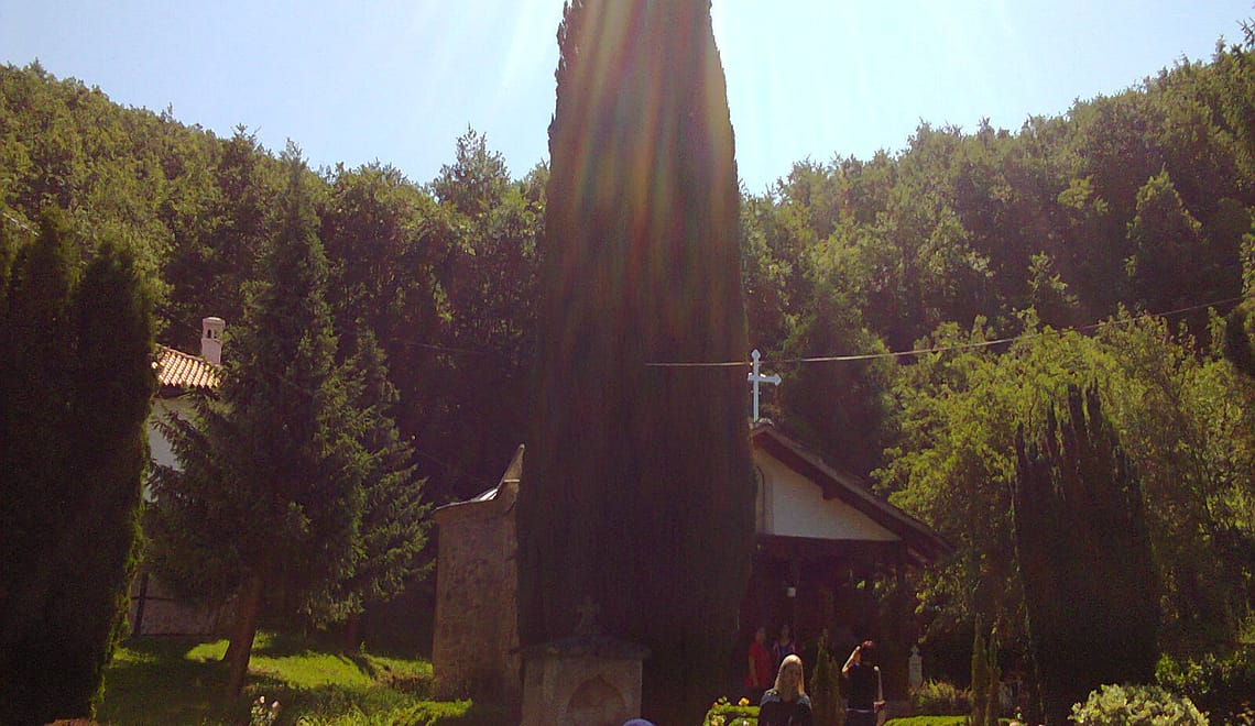 Манастир Темска